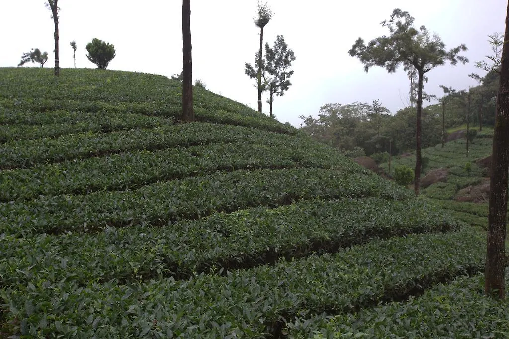 Grand Plaza Hotel Munnar