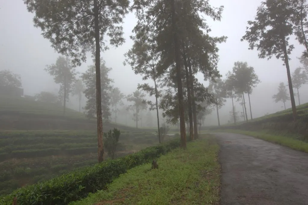 Grand Plaza Hotel Munnar